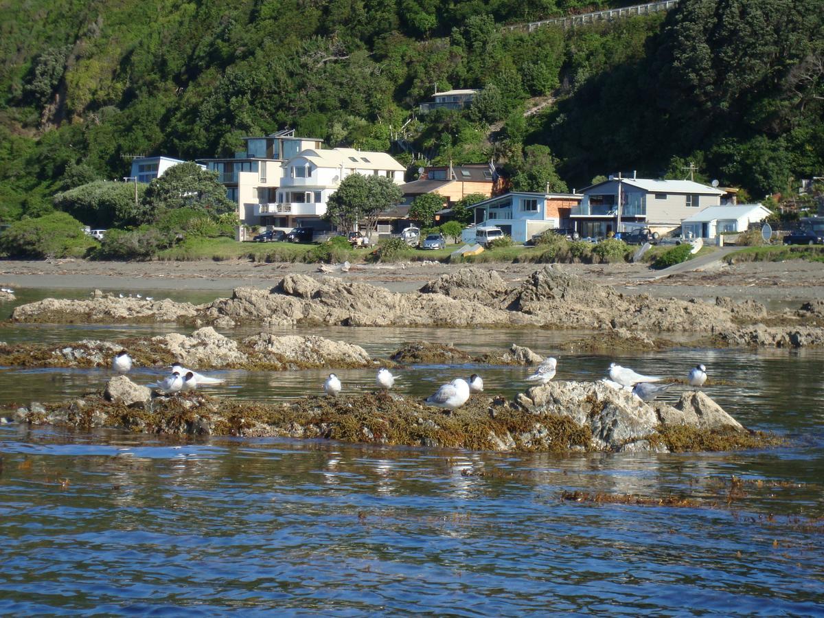 Kapiti Waves Bed & Breakfast Pukerua Bay Exterior photo